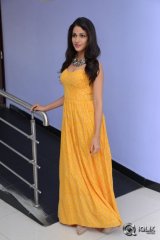 Lavanya Tripathi At Srirastu Subhamastu Movie 1st Song Launch